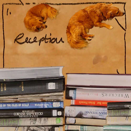 Video still image showing a pile of books with two dogs floating above